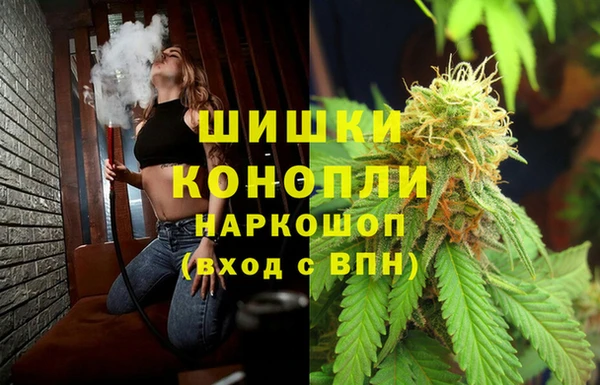 ешки Арсеньев