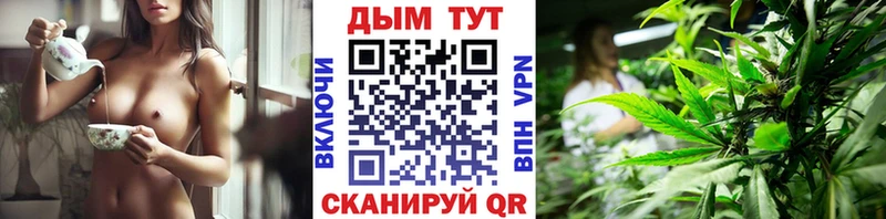 Конопля гибрид  Новосокольники 